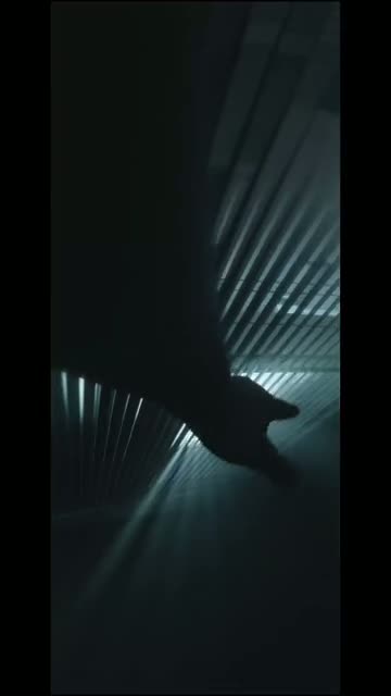 One Lost Moment